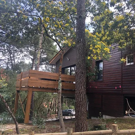 Surplombant La Pinede A 2km De L'ocean *