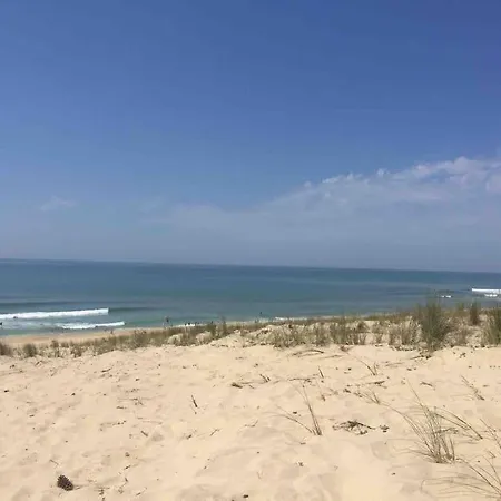 Surplombant La Pinede A 2km De L'ocean * Lacanau